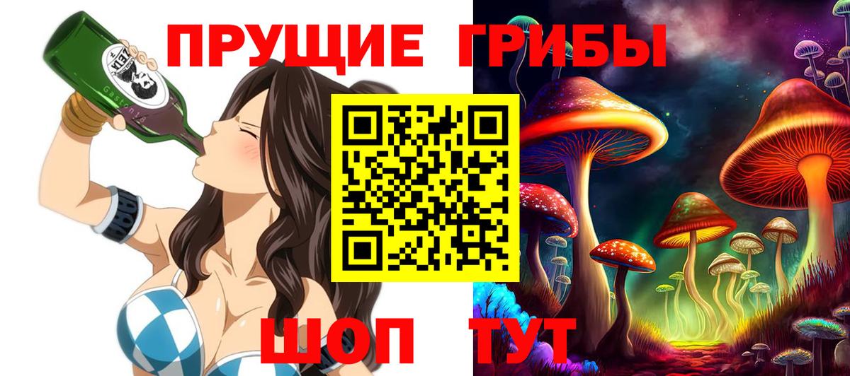 Псилоцибиновые грибы Cubensis Ликино-Дулёво