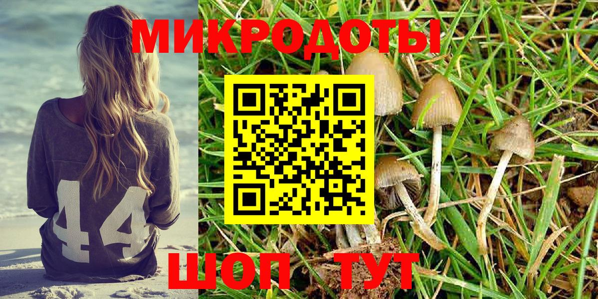 Ликино-Дулёво  Псилоцибиновые грибы MAGIC MUSHROOMS  Вход с VPN 